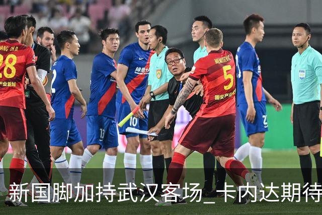 新国脚加持武汉客场 卡内达期待锋线发力 绿城要亮剑